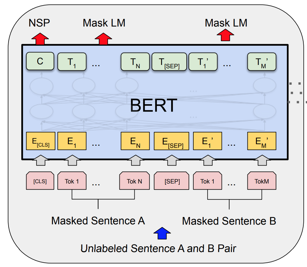 The Basics Of Language Modeling With Transformers: BERT | Emerging ...